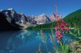 /album/fotogaleria-inicio/medio-ambiente-1-jpg1/